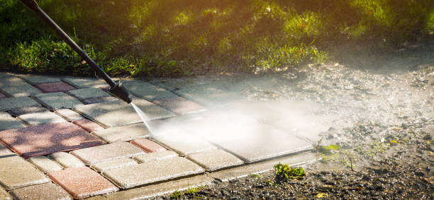 Best Soft Washing for Delicate Surfaces in Roselle, NJ